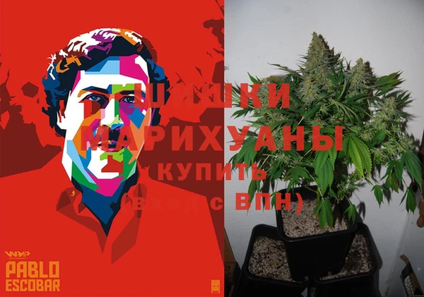 гидропоника Богородск