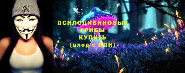 мдма Белокуриха