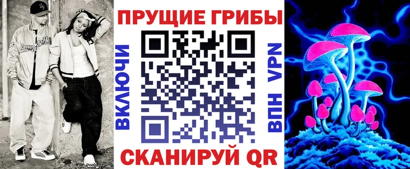 как найти закладки  Невель  Псилоцибиновые грибы Psilocybine cubensis 